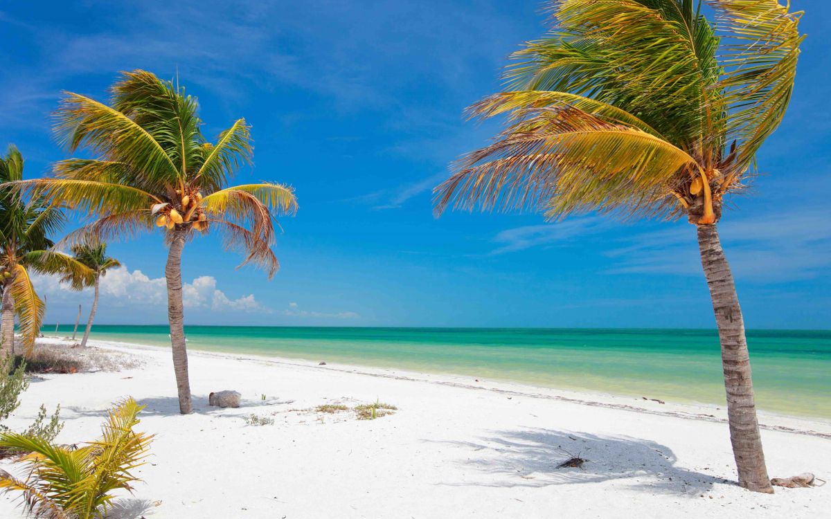Holbox Holbox